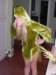 lastyears0089c_small.jpg