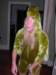 lastyears0089e_small.jpg