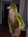 lastyears0089f_small.jpg